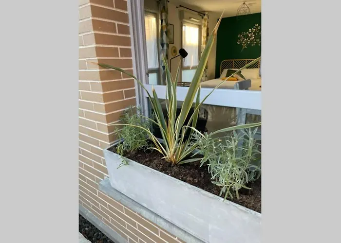 Minimes, Studio Cosy Tout Confort, Wifi, Parking 公寓 *